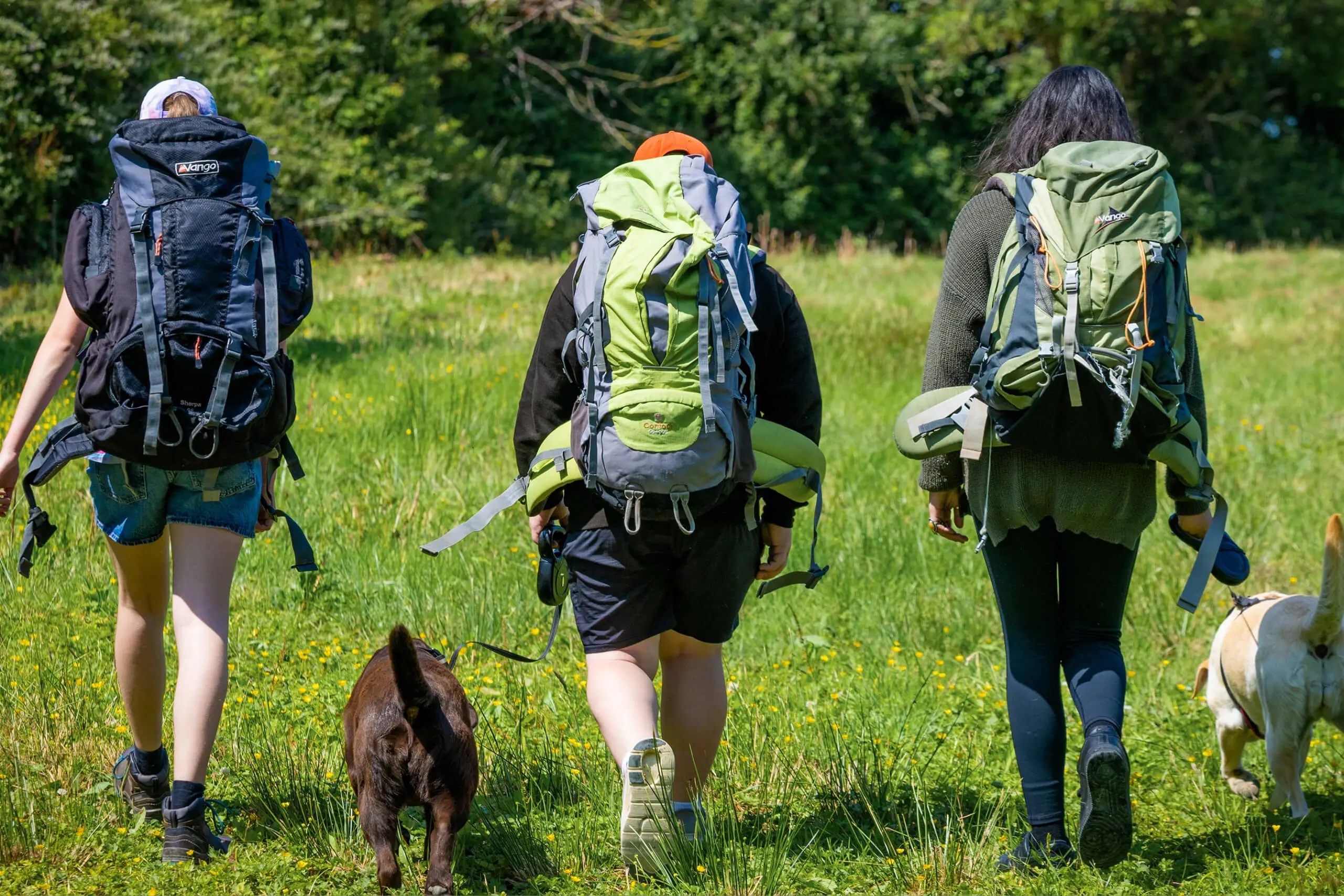  OptimizedImage,,,Optimized