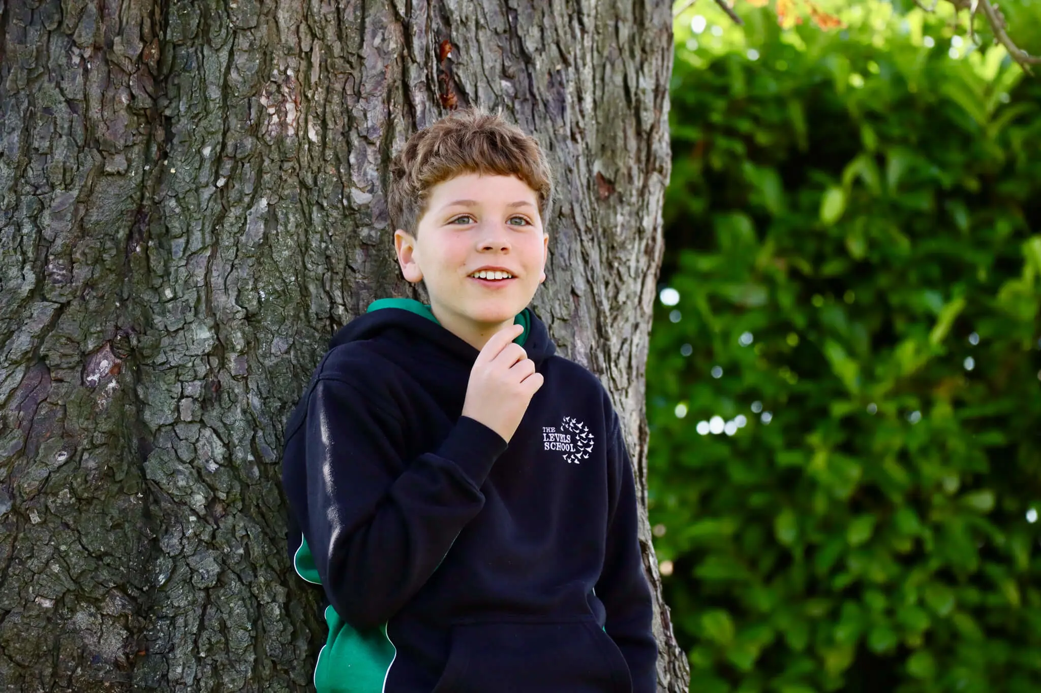  OptimizedImage,,,Optimized