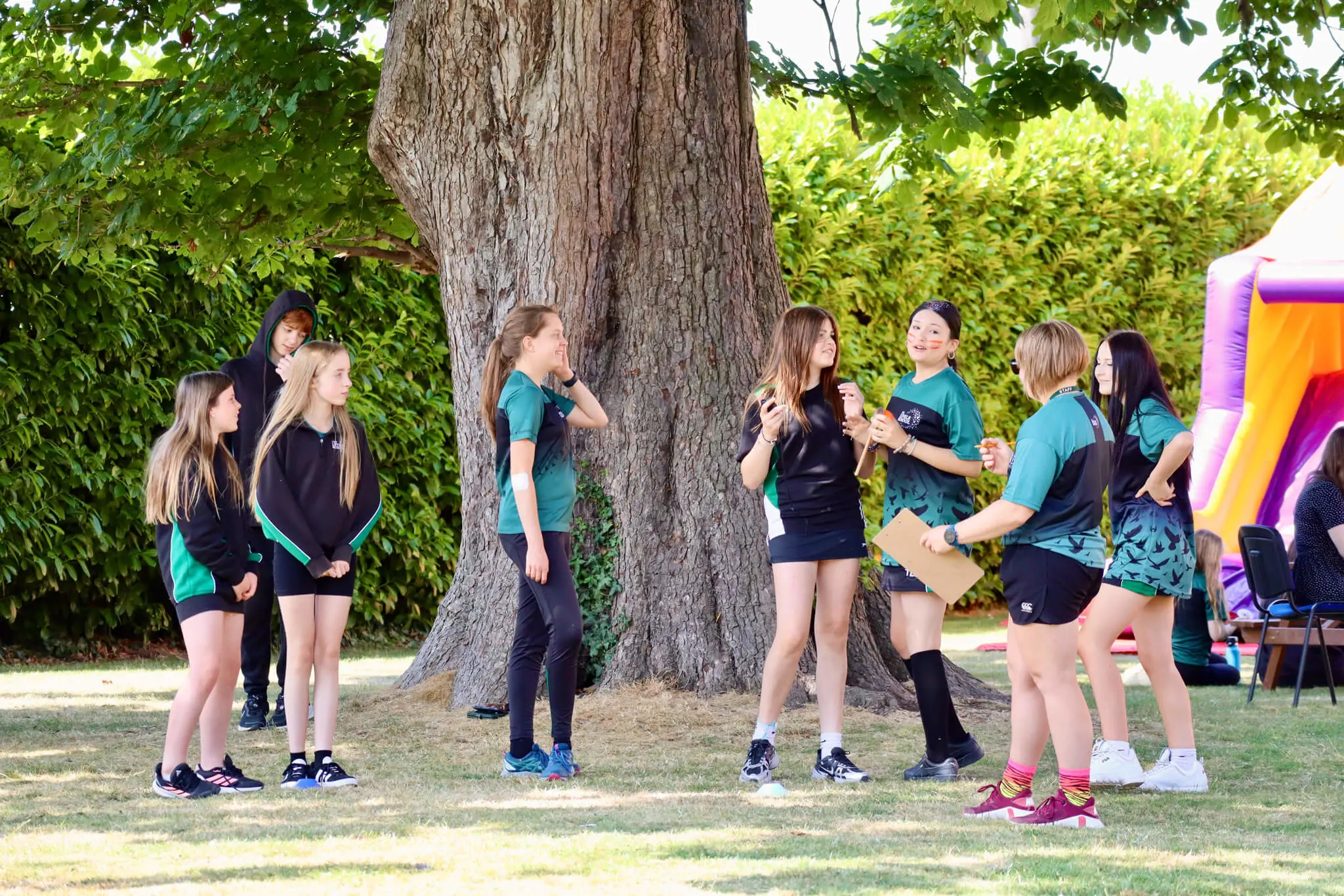  OptimizedImage,,,Optimized