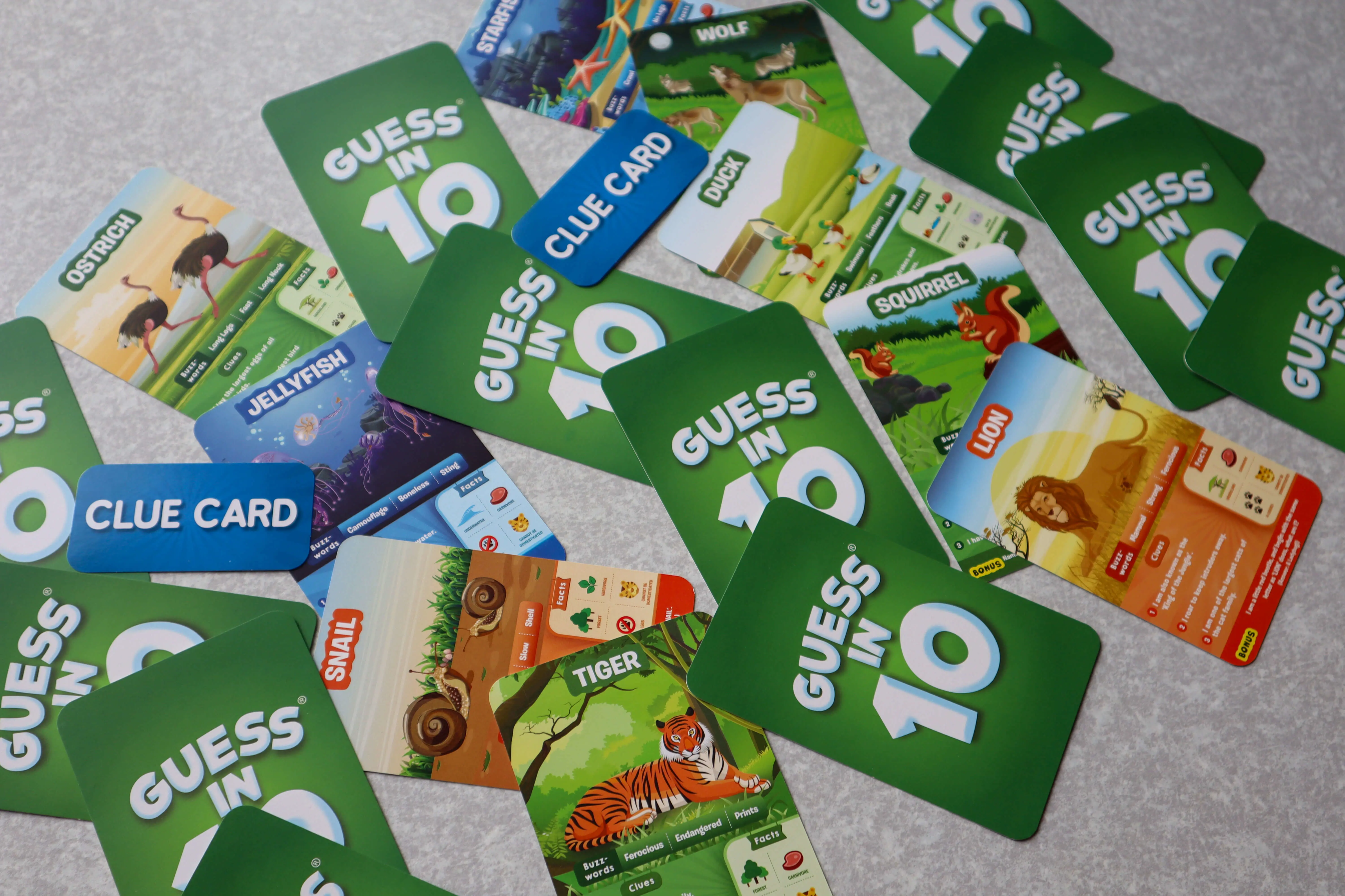  OptimizedImage,,,Optimized