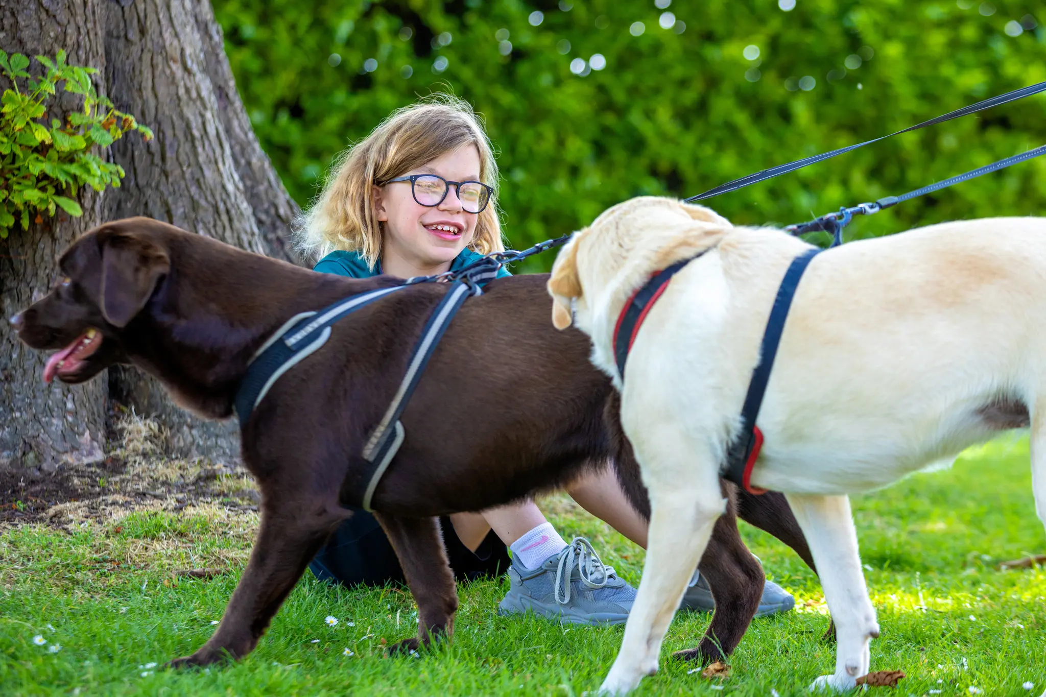  OptimizedImage,,,Optimized