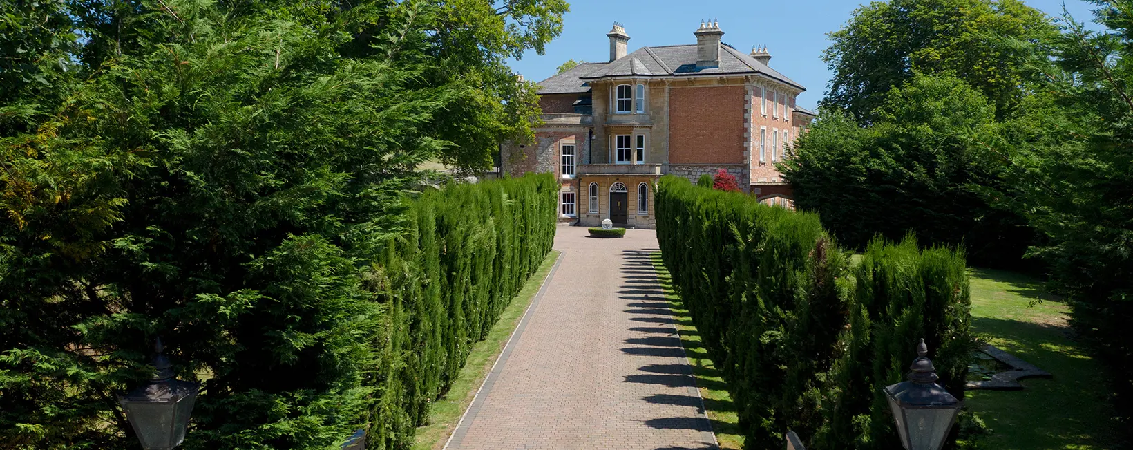  OptimizedImage,Optimized