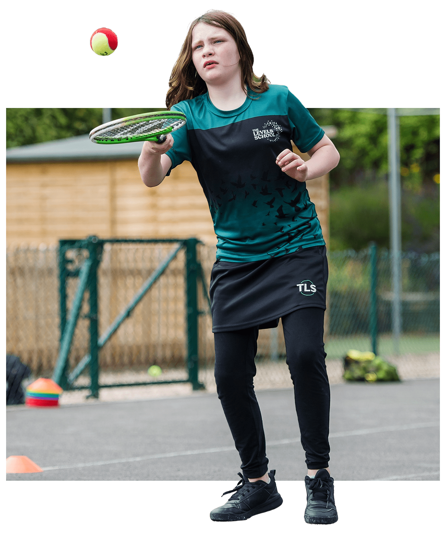  OptimizedImage,Optimized