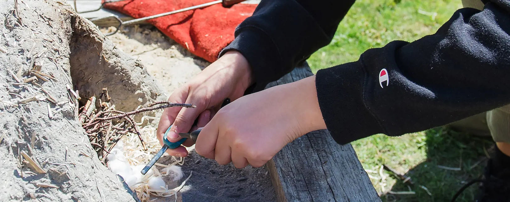  OptimizedImage,Optimized