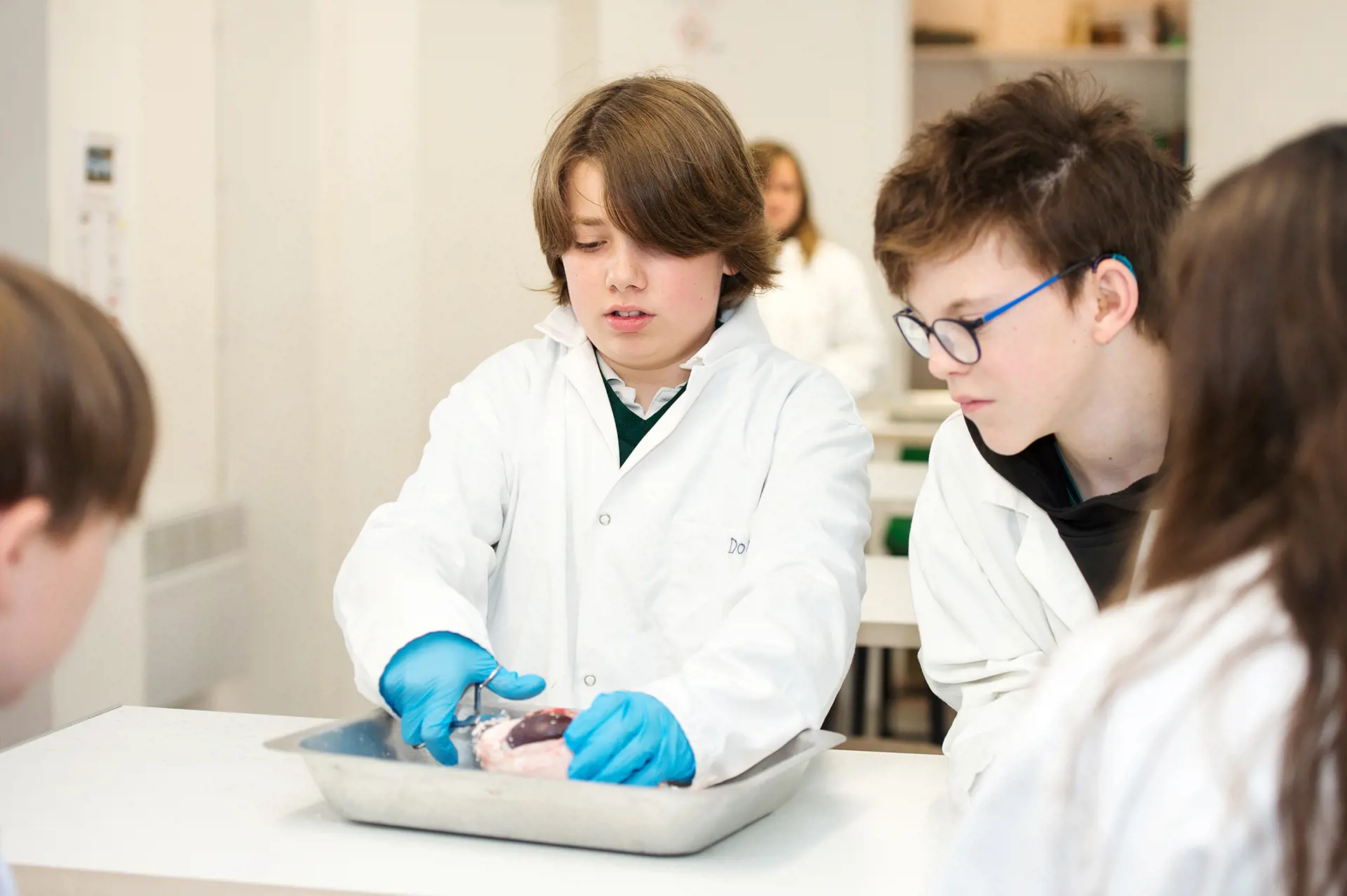 OptimizedImage,Optimized