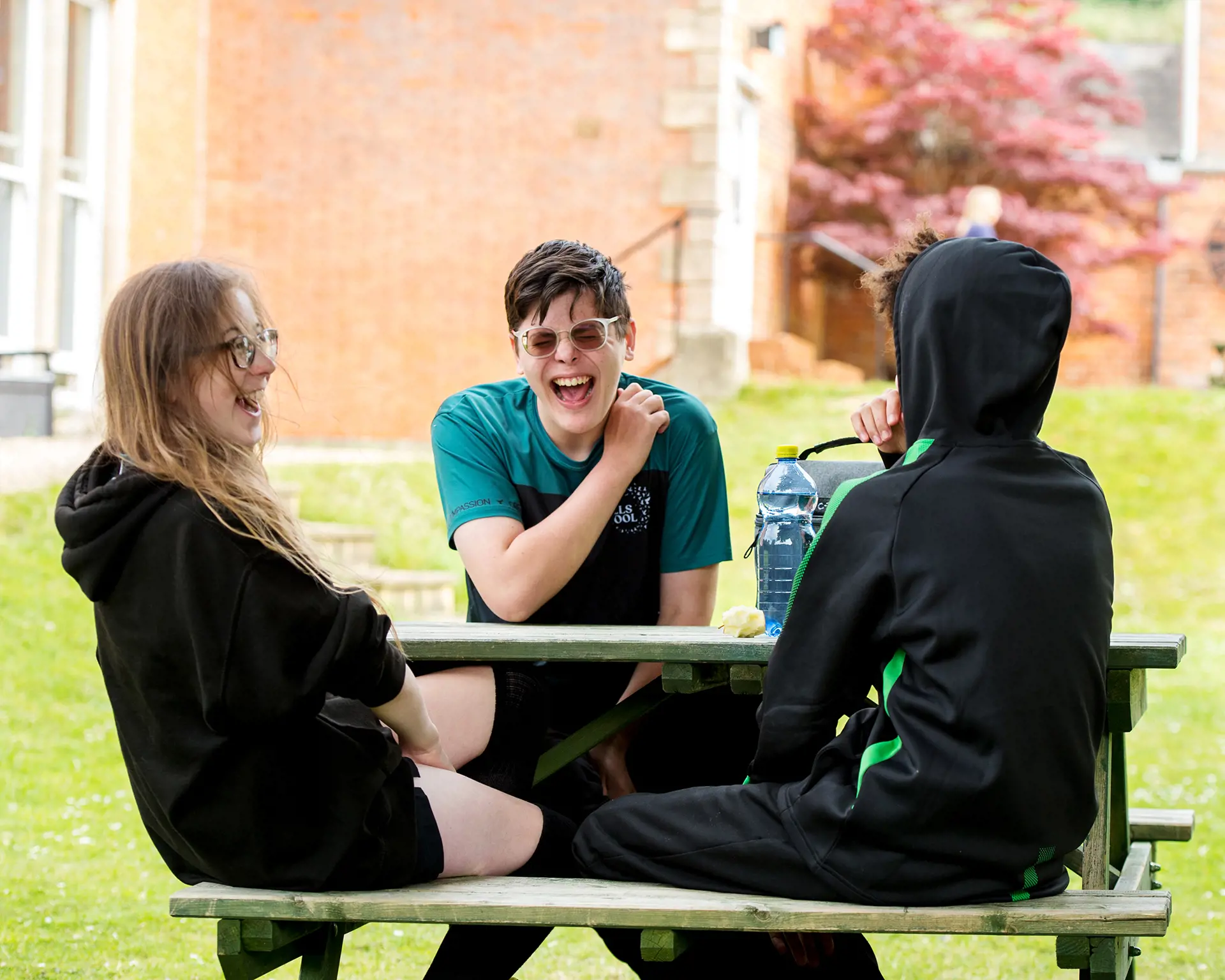  OptimizedImage,Optimized