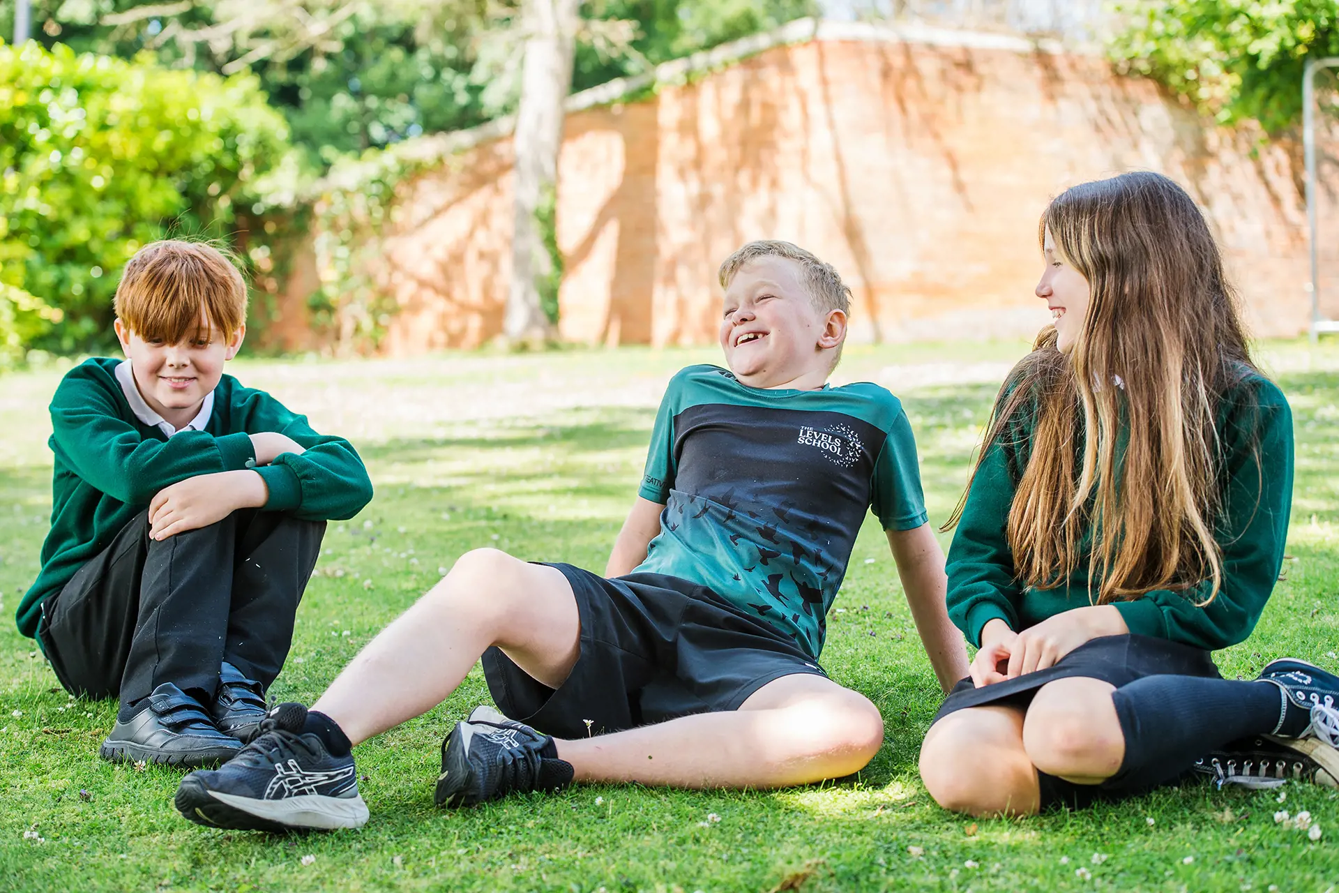 OptimizedImage,Optimized